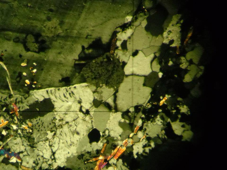 microscopio
