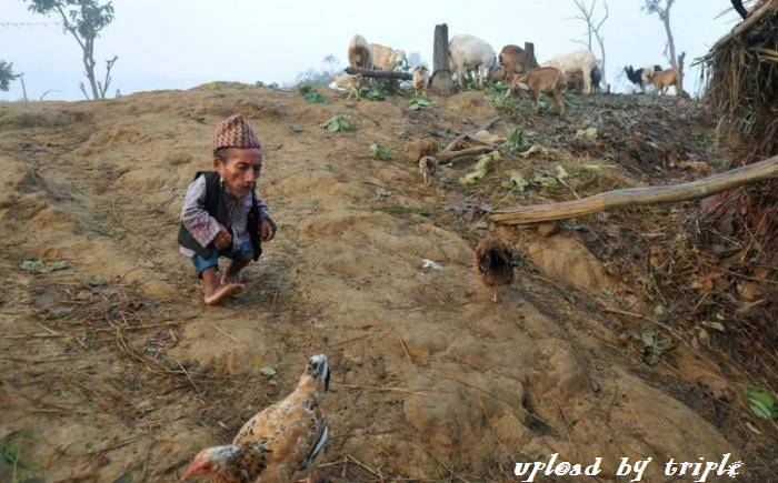 單頭身 超矮人 [18P]