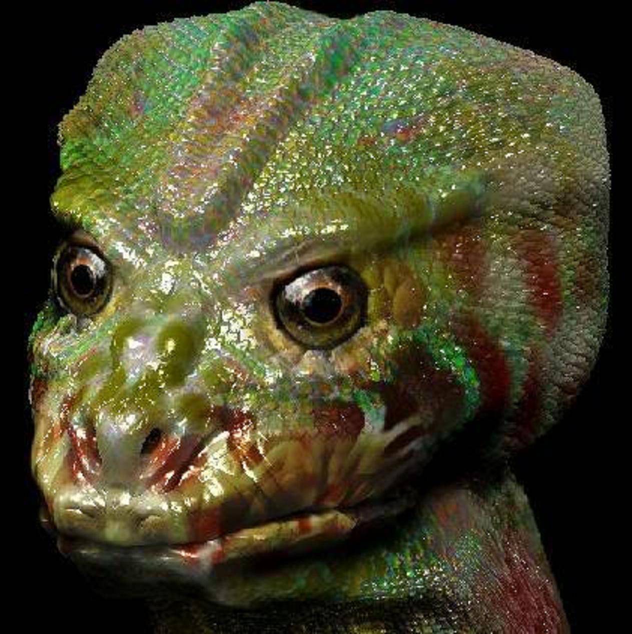 Entrevista a Alex collier sobre los Reptilianos Entrevista a Alex collier sobre los Reptilianos