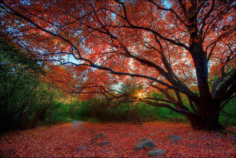 922x616 Barwy jesieni #2 10