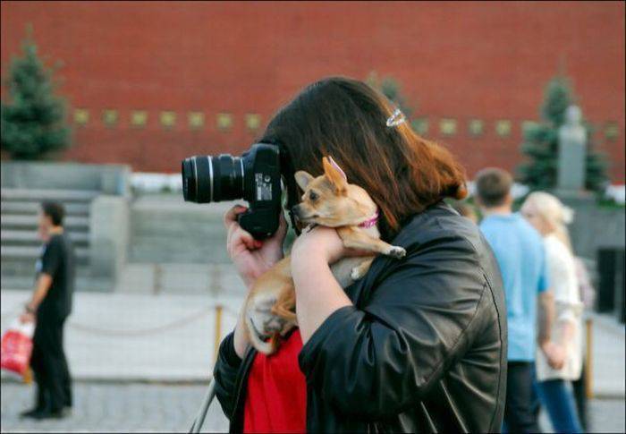 Foto pobudka #143 73