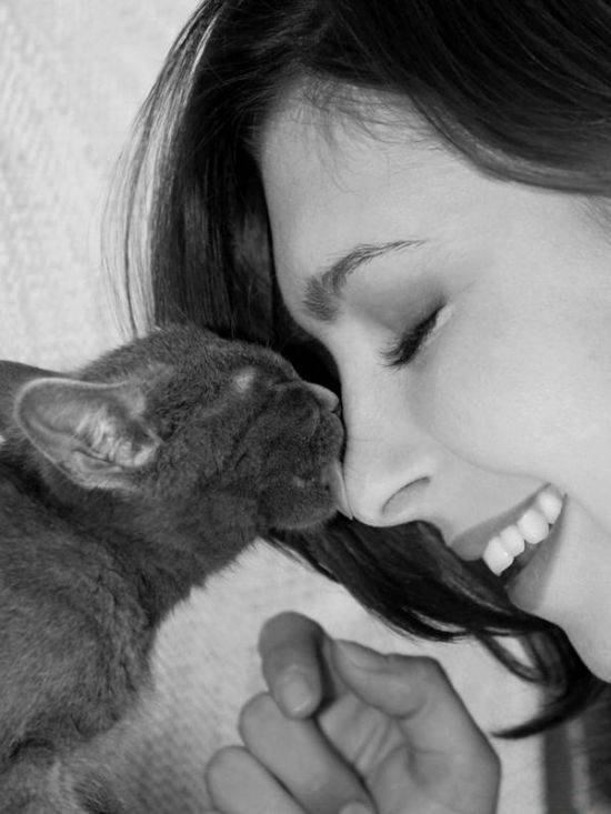 Foto pobudka #383 48