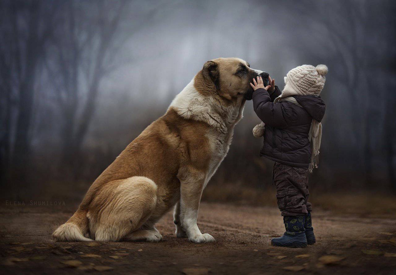 1280x888 Foto pobudka #1012 69