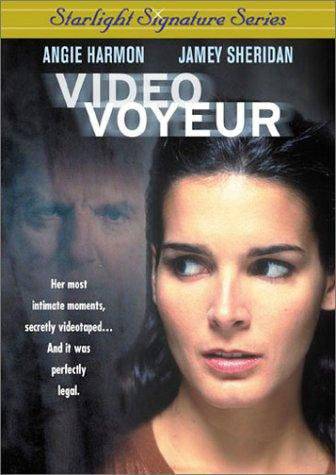 Video Voyeur (2002) DVDRip x264-LiebeIst mkv