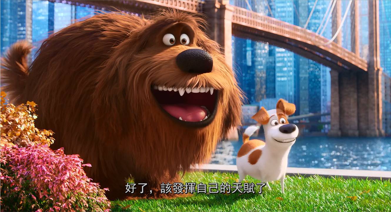 Flash2u 在新視窗檢視
