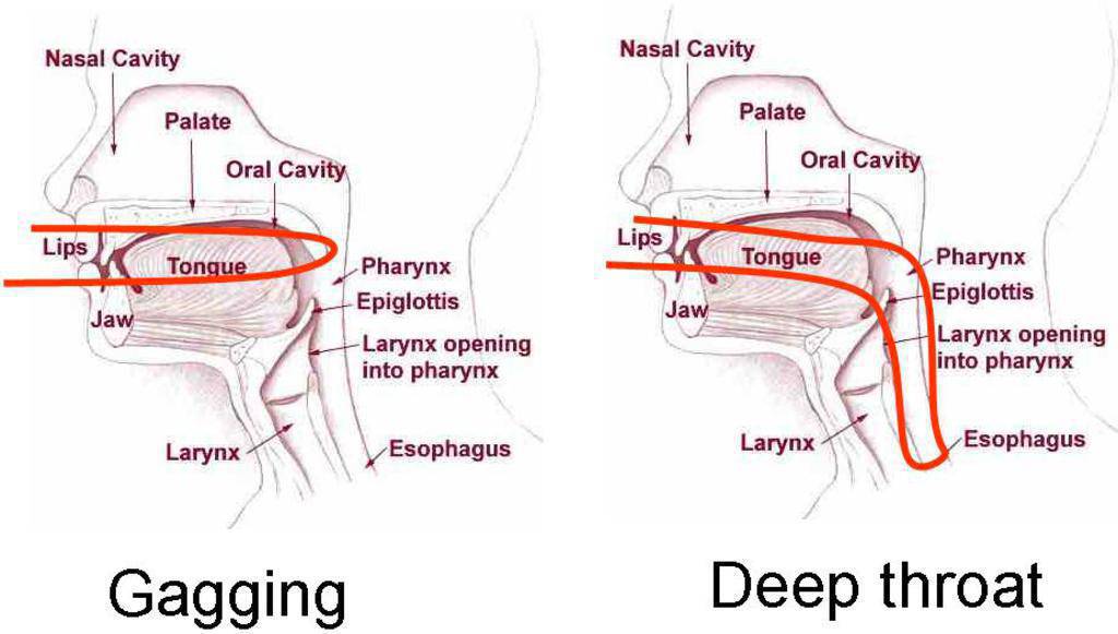 throat tecnique Deep