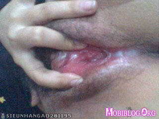 © Mobiblog.Org