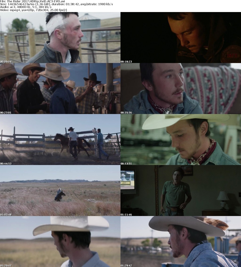 The Rider 2017 HDRip XviD AC3-EVO The Rider 2017 HDRip XviD AC3-EVO