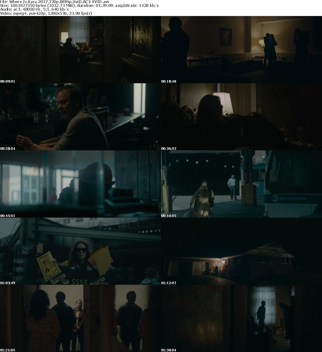 Where Is Kyra 2017 720p BRRip XviD AC3-XVID Where Is Kyra 2017 720p BRRip XviD AC3-XVID
