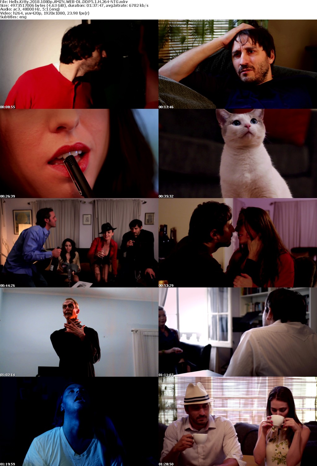 Hells Kitty (2018) 1080p AMZN WEB-DL DDP5.1 H 264-NTG