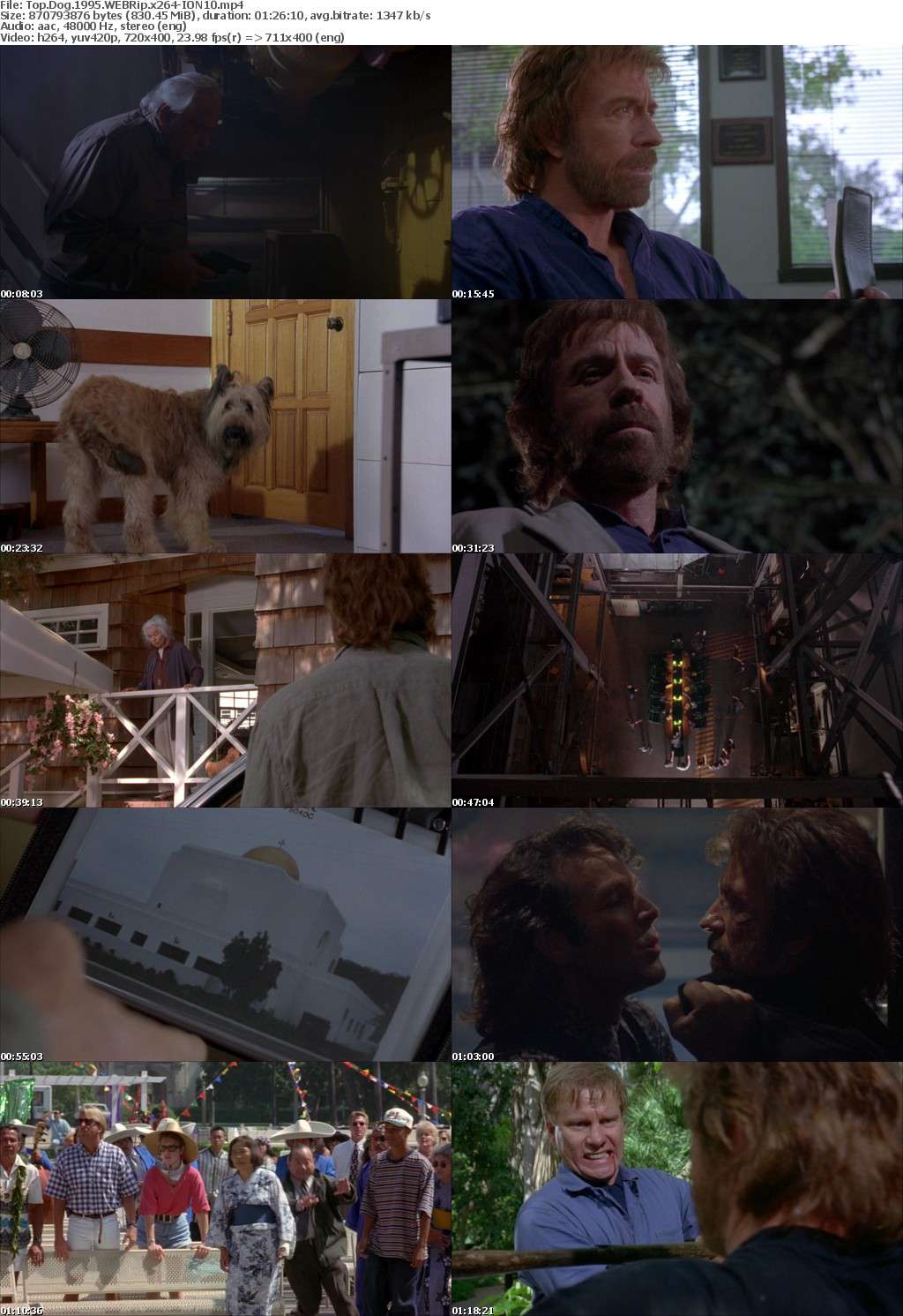 Top Dog 1995 WEBRip x264-ION10 Top Dog 1995 WEBRip x264-ION10