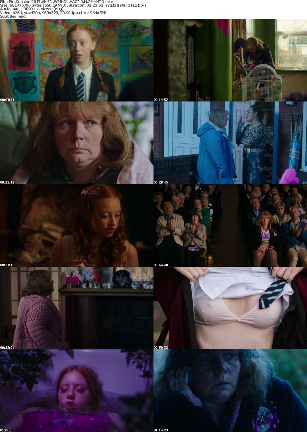 Pin Cushion (2017) AMZN WEB-DL AAC2.0 H264-NTG