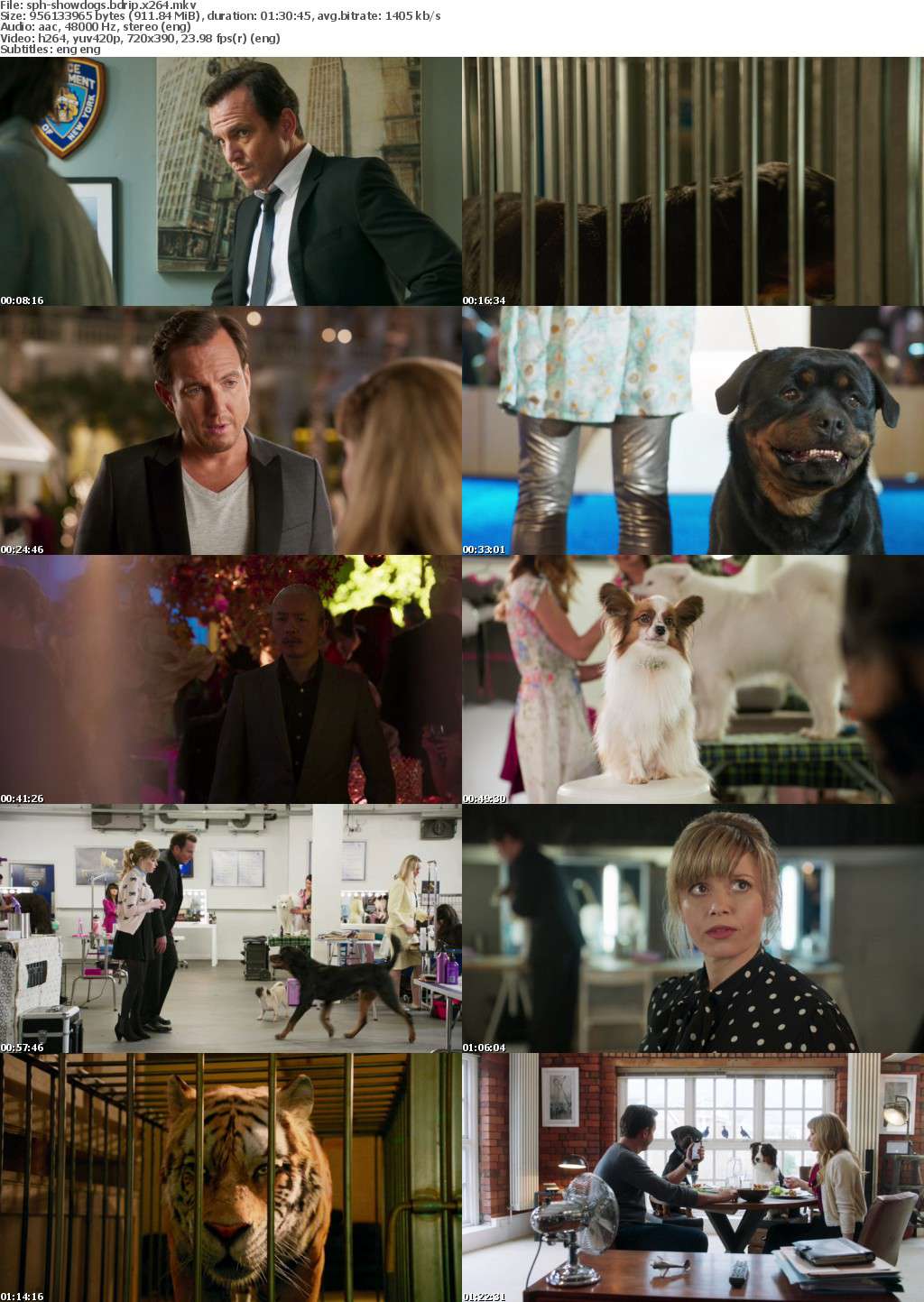 Show Dogs (2018) BDRip x264-SAPHiRE