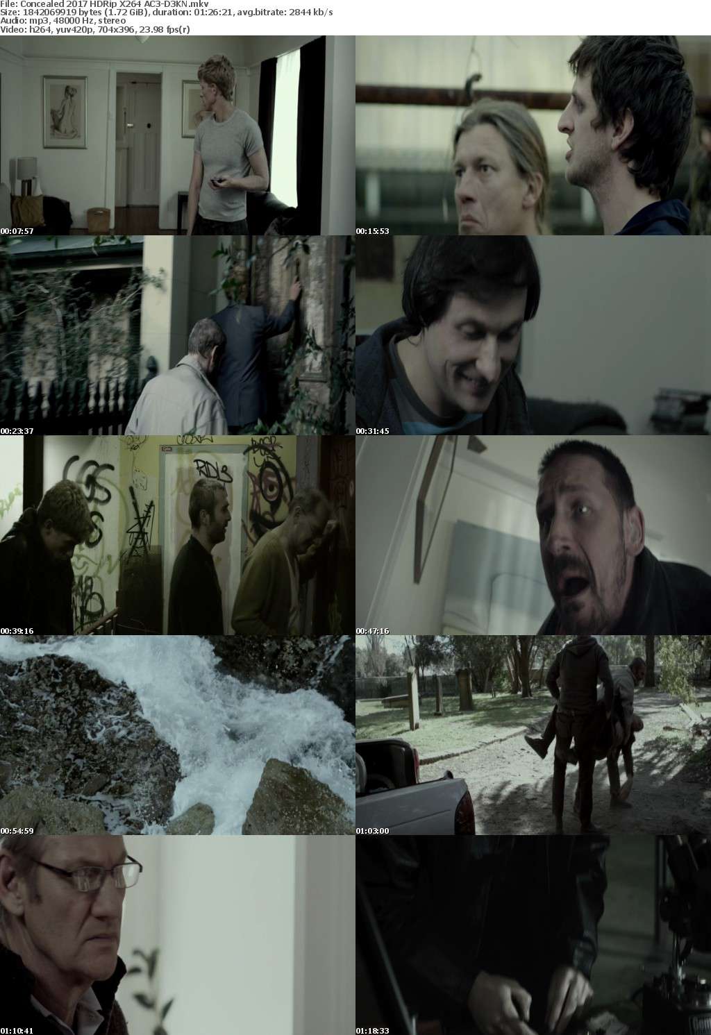 Concealed (2017) HDRip X264 AC3-D3KN