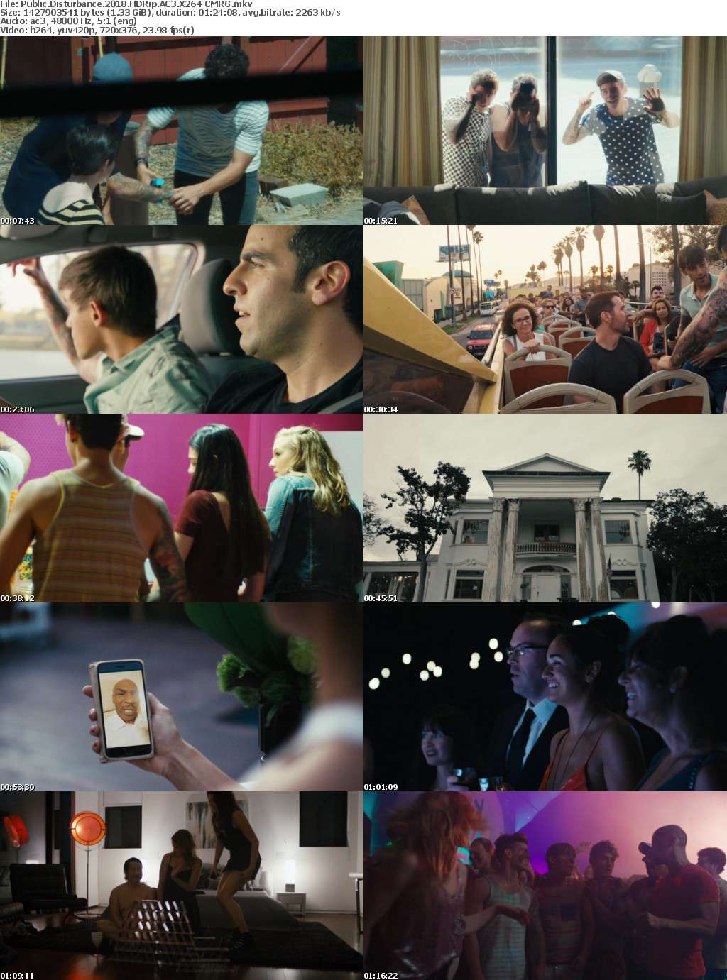 Public Disturbance (2018) HDRip AC3 X264-CMRG