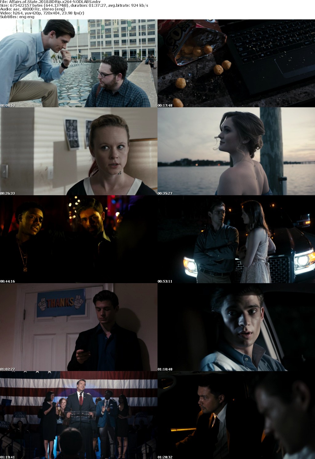 Affairs of State (2018) BDRip x264-NODLABS