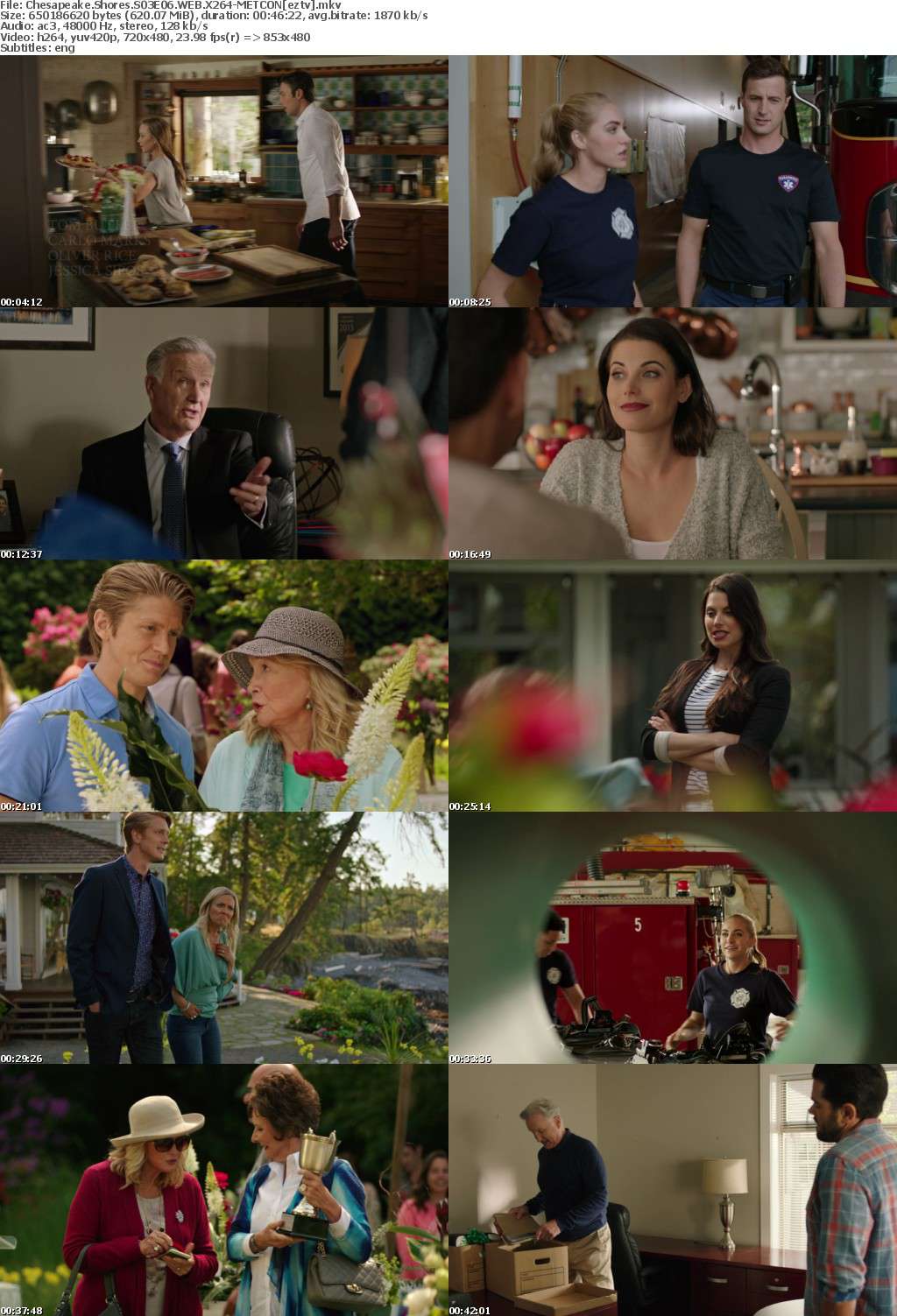 Chesapeake Shores S03E06 WEB X264-METCON