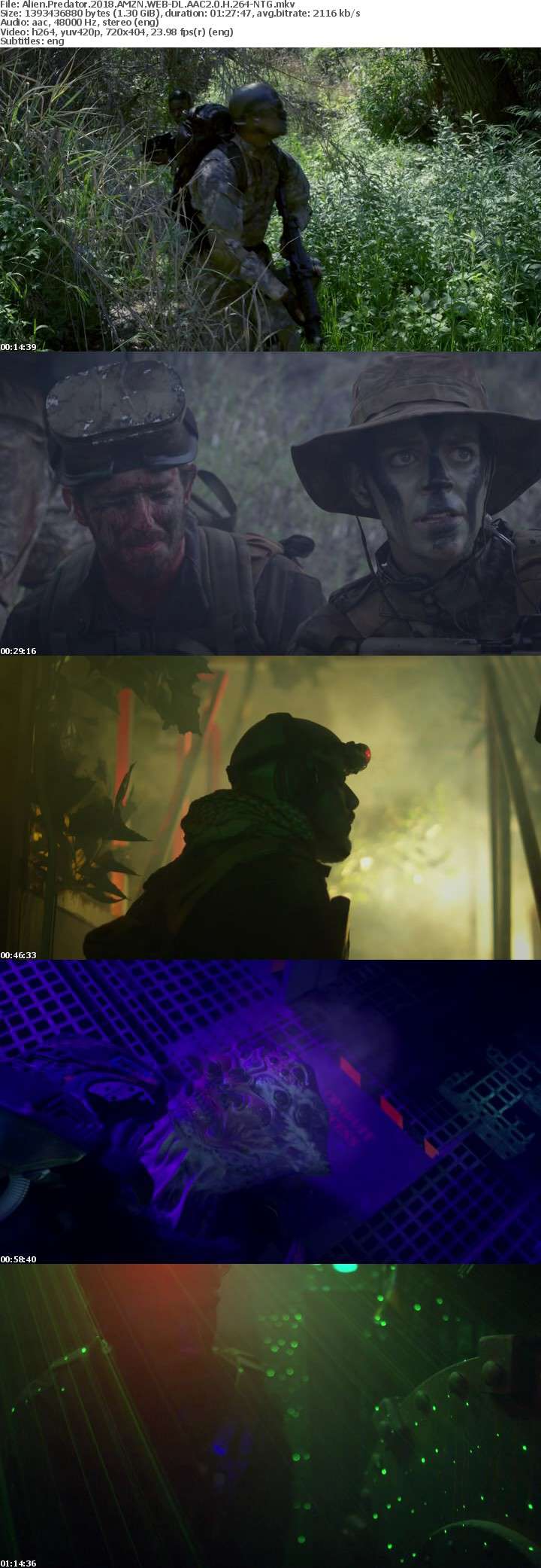 Alien Predator 2018 AMZN WEB-DL AAC2 0 H 264-NTG Alien Predator 2018 AMZN WEB-DL AAC2 0 H 264-NTG
