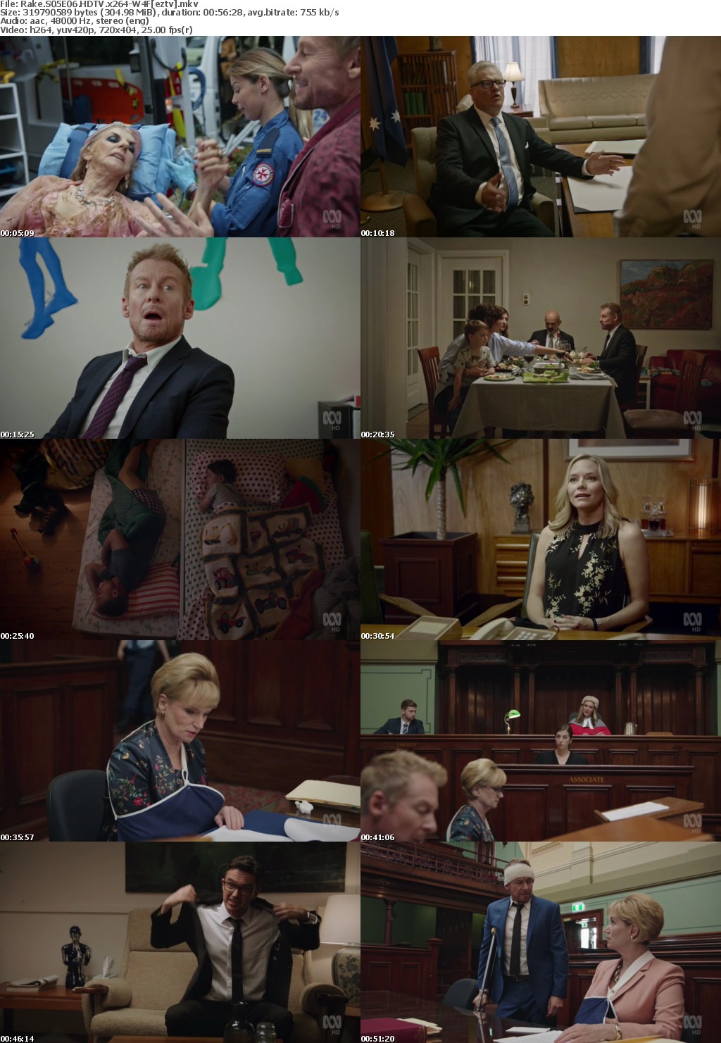 Rake S05E06 HDTV x264-W4F