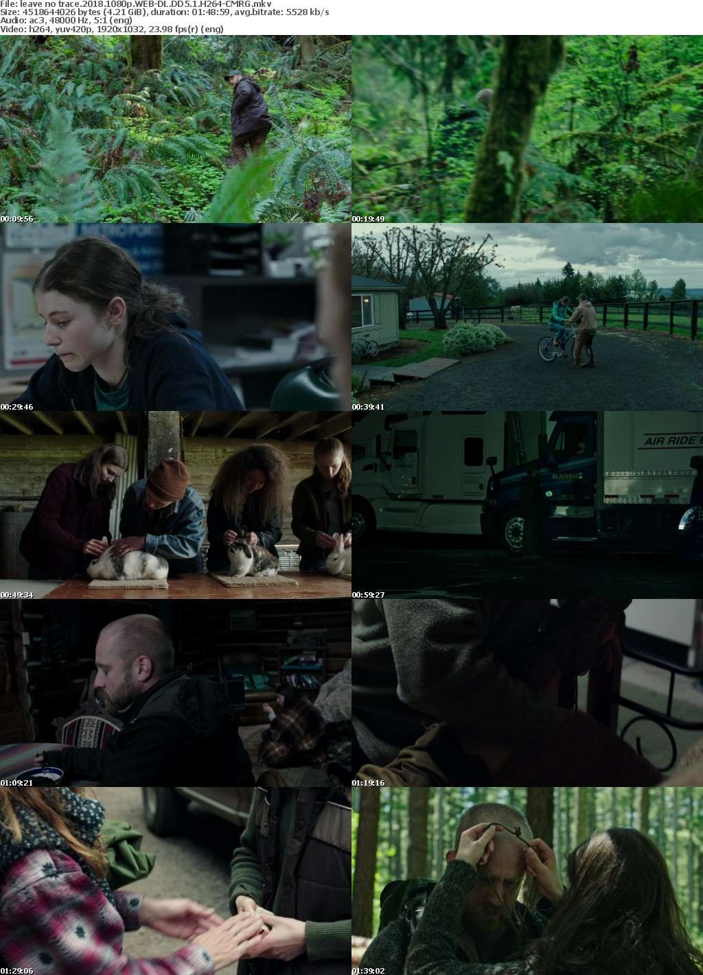 Leave No Trace (2018) 1080p WEB-DL DD5.1 H264-CMRG