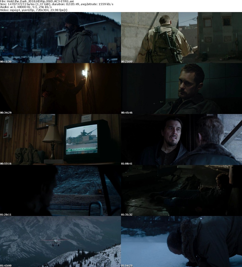 Hold the Dark (2018) HDRip XViD AC3-ETRG