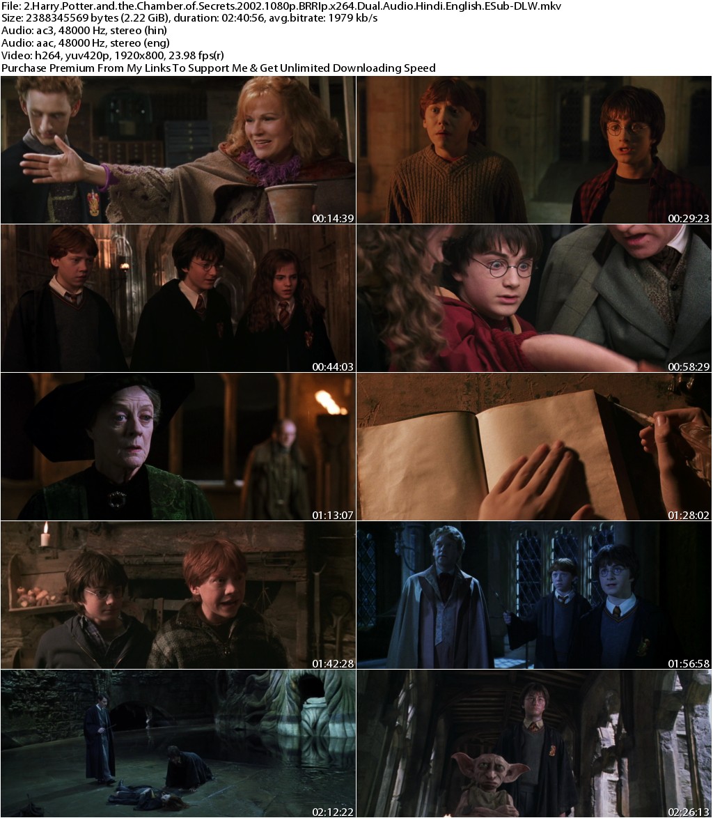 Harry Potter and the Chamber of Secrets (2002) 1080p BRRIp x264 Dual Audio Hindi English ESub-DLW