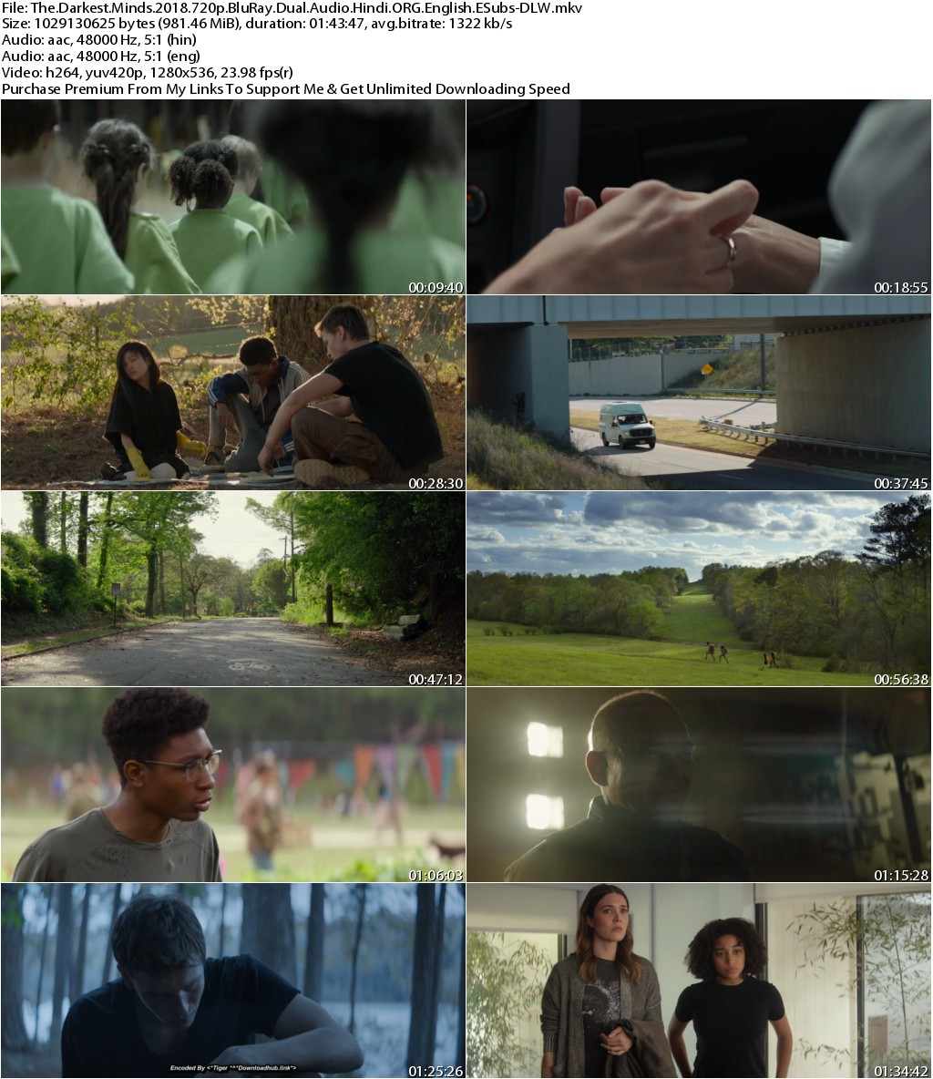 The Darkest Minds (2018) 720p BluRay Dual Audio [Hindi ORG+English] ESubs-DLW