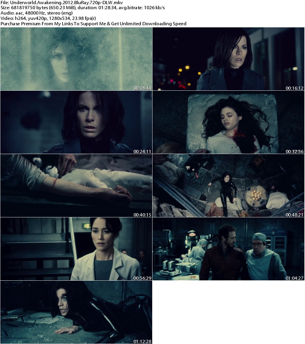 Underworld Awakening (2012) 720p BRRip x264-DLW