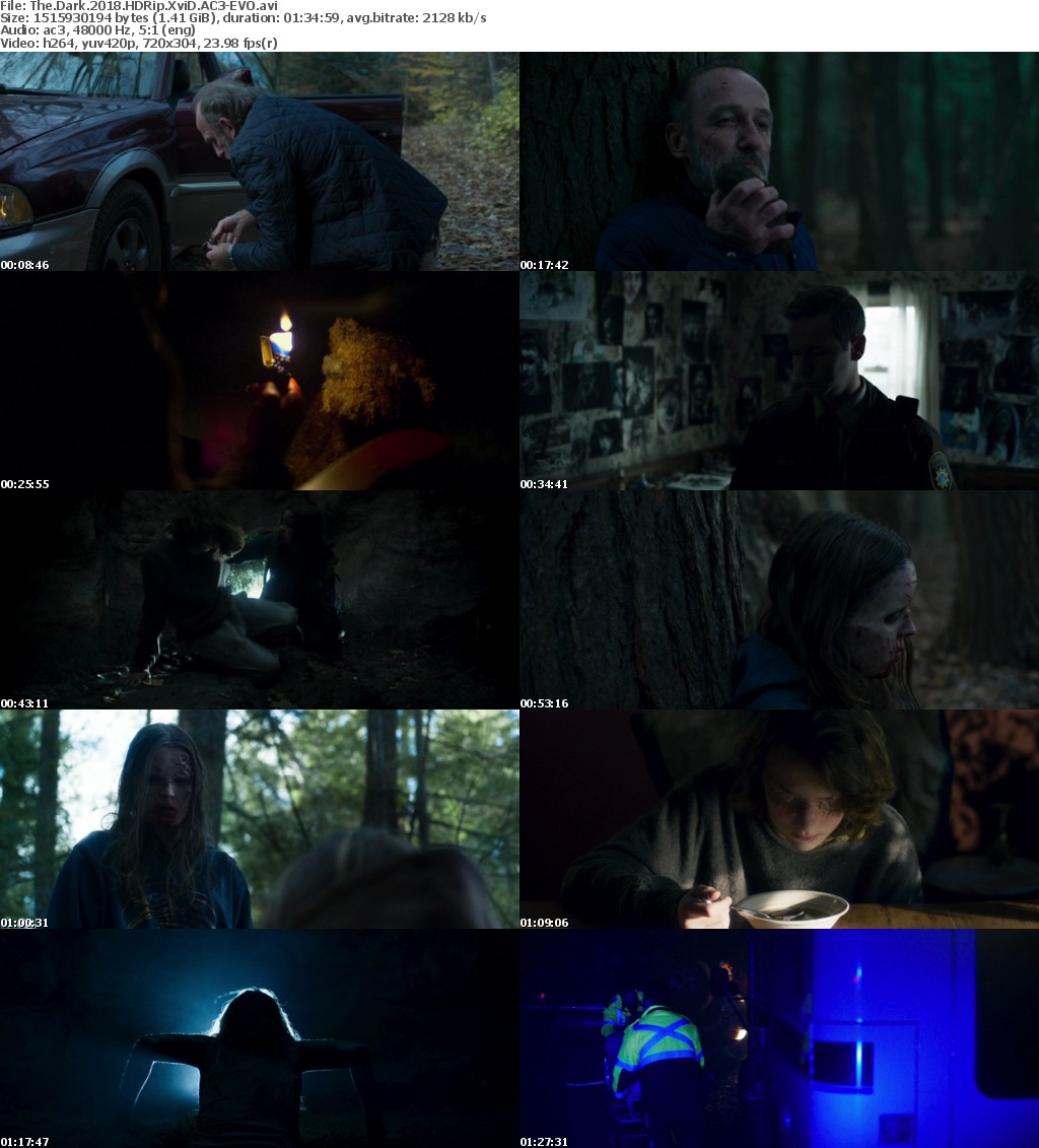 The Dark (2018) HDRip XviD AC3-EVO