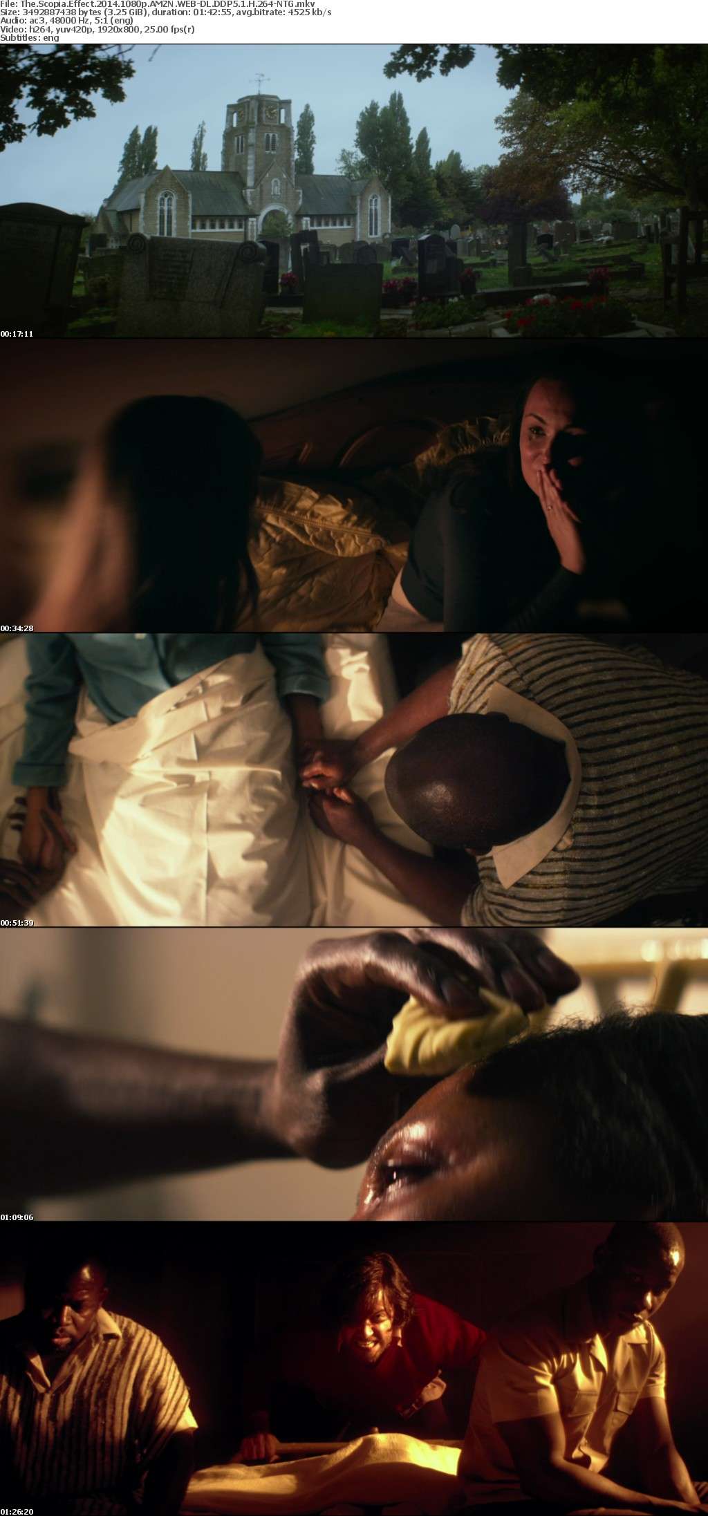 The Scopia Effect 2014 1080p AMZN WEBRip DDP5 1 x264-NTG The Scopia Effect 2014 1080p AMZN WEBRip DDP5 1 x264-NTG