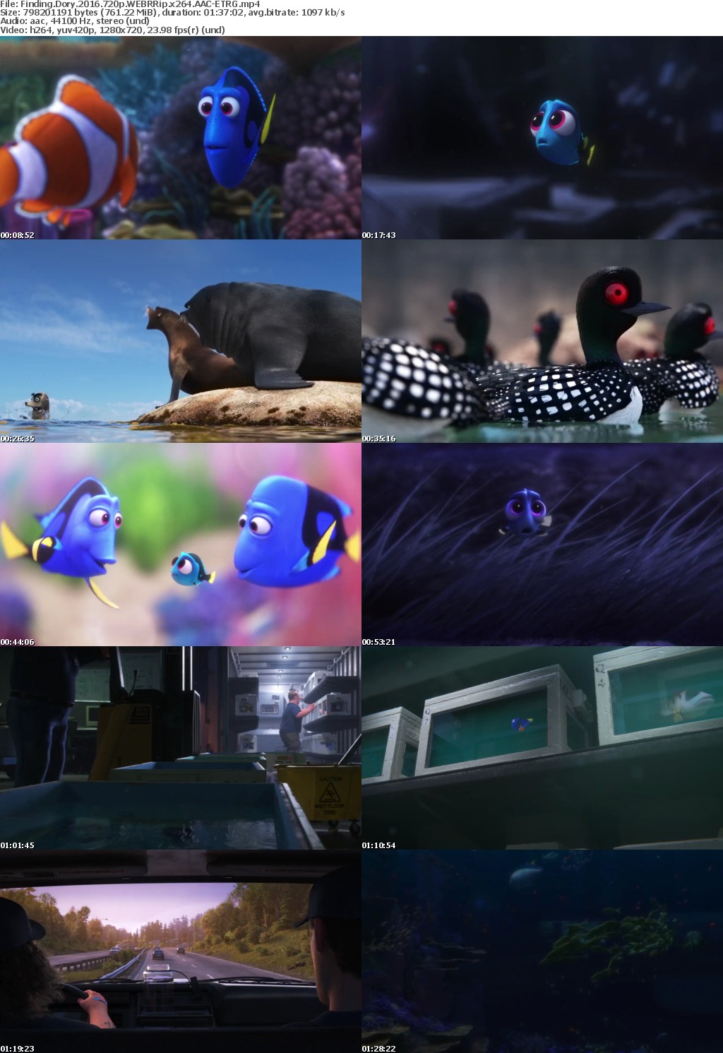 Finding Dory (2016) 720p WEBRRip x264 AAC-ETRG