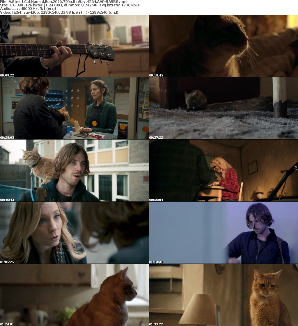 A Street Cat Named Bob (2016) 720p BluRay H264 AAC-RARBG