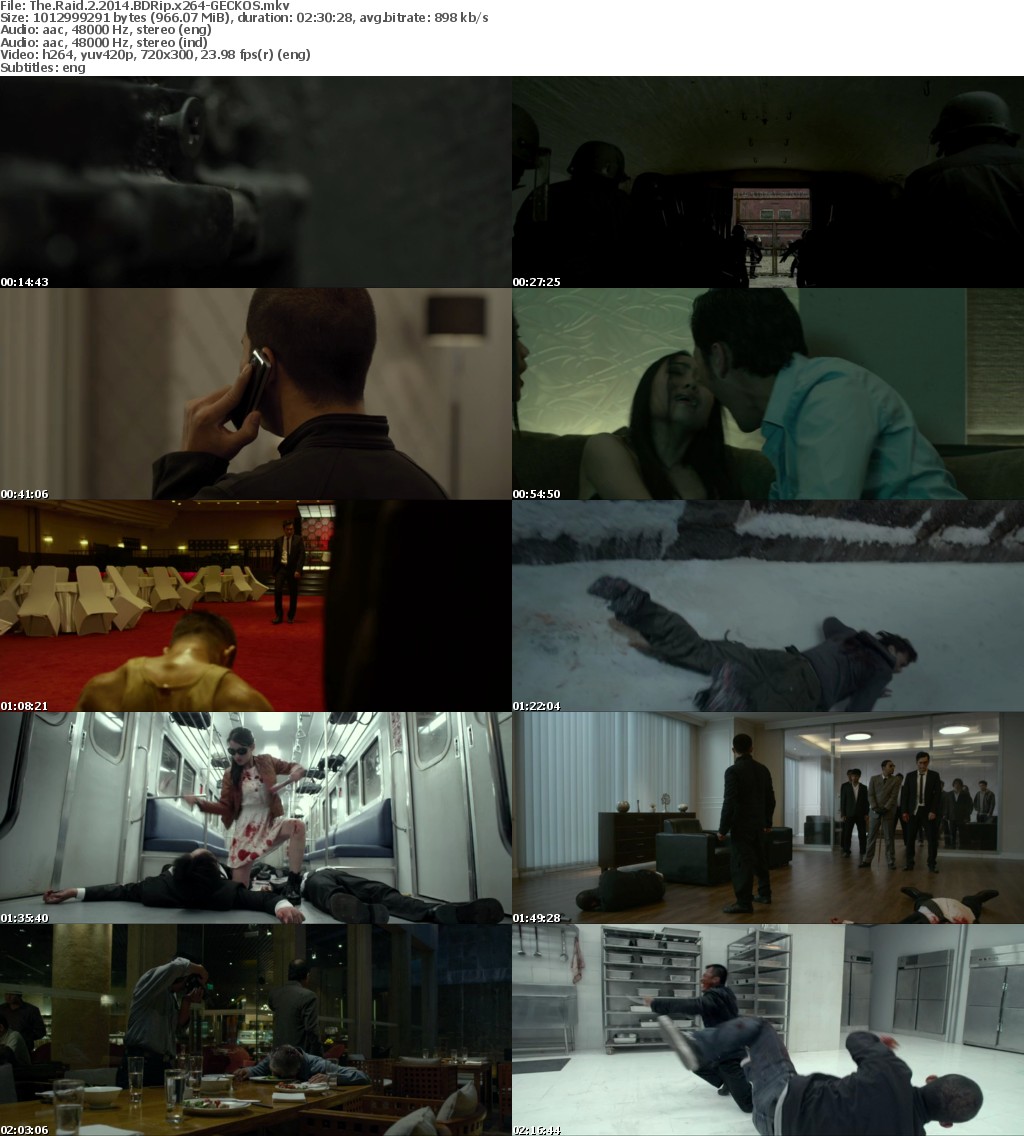 The Raid 2 (2014) BDRip x264-GECKOS (BG SUB)