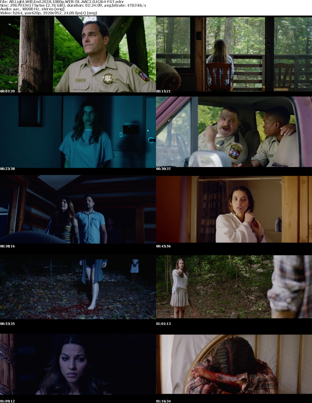 All Light Will End (2018) 1080p WEB-DL AAC2.0 H264-FGT