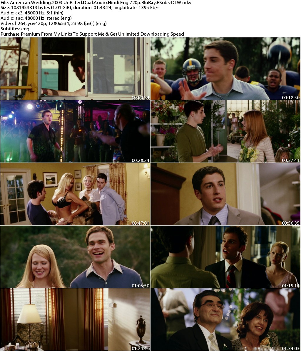 American Wedding (2003) UnRated 720p BluRay Dual Audio Hindi Eng ESubs-DLW