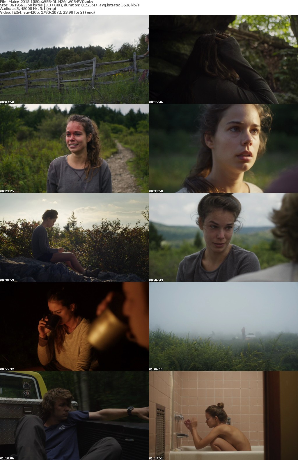 Maine (2018) 1080p WEB-DL H264 AC3-EVO