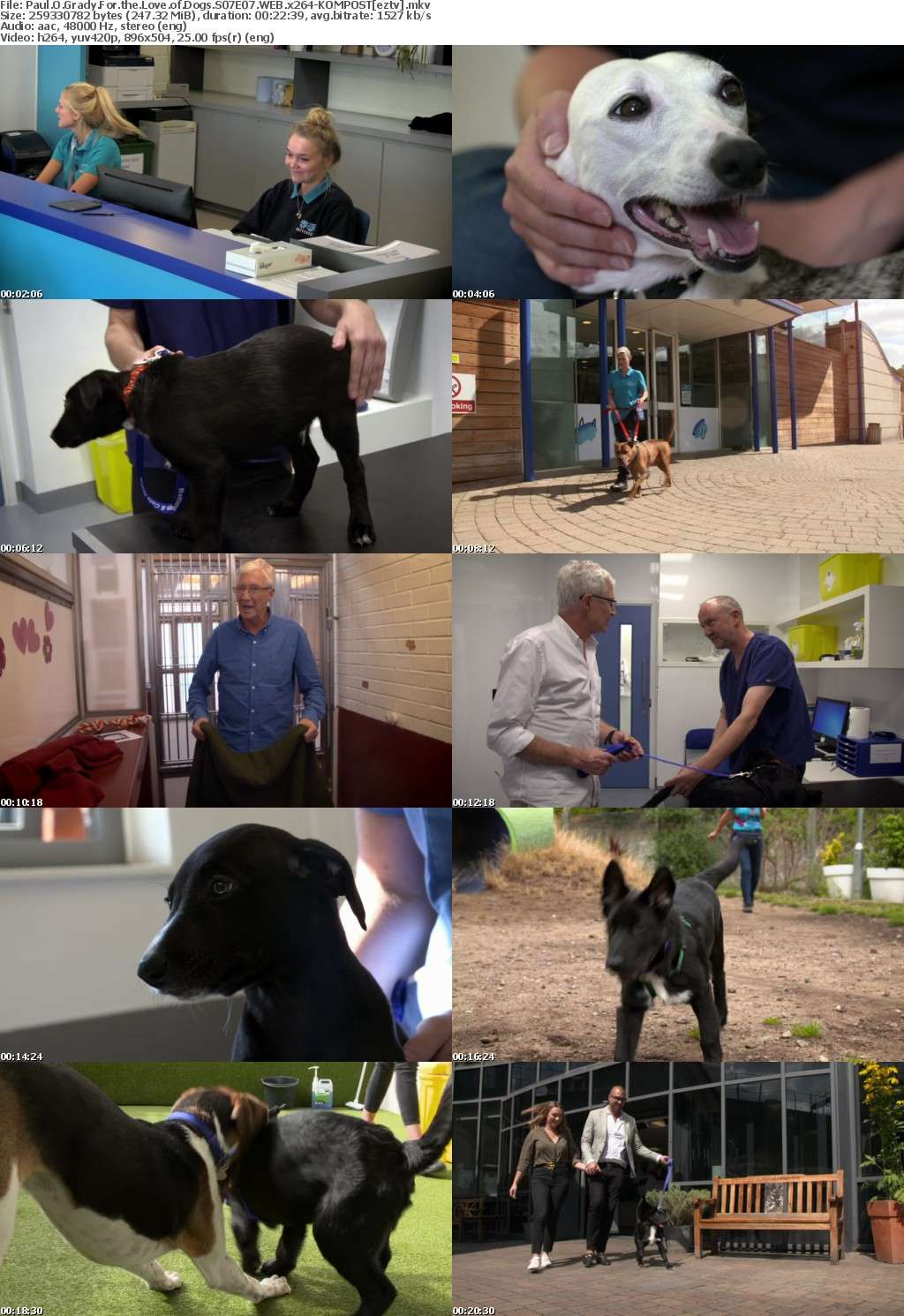 Paul O Grady For the Love of Dogs S07E07 WEB x264-KOMPOST