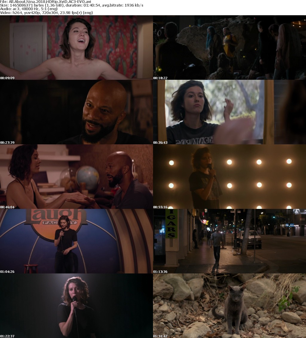 All About Nina (2018) HDRip XviD AC3-EVO