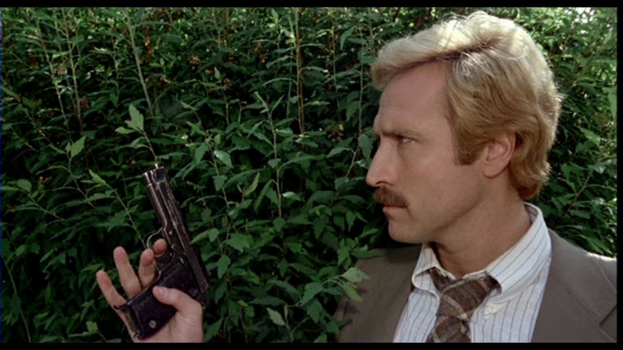 Fear in the City 1976 720p BluRay x264-x0r Fear in the City 1976 720p BluRay x264-x0r