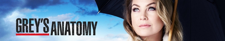 Greys Anatomy S15E13 720p HDTV x264-KILLERS Greys Anatomy S15E13 720p HDTV x264-KILLERS