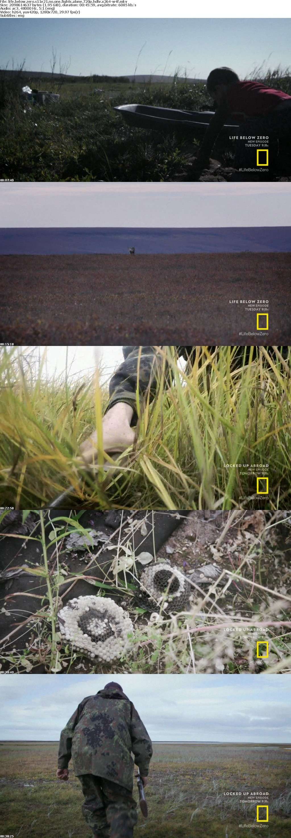 Life Below Zero S11E21 No One Fights Alone 720p HDTV x264-W4F Life Below Zero S11E21 No One Fights Alone 720p HDTV x264-W4F