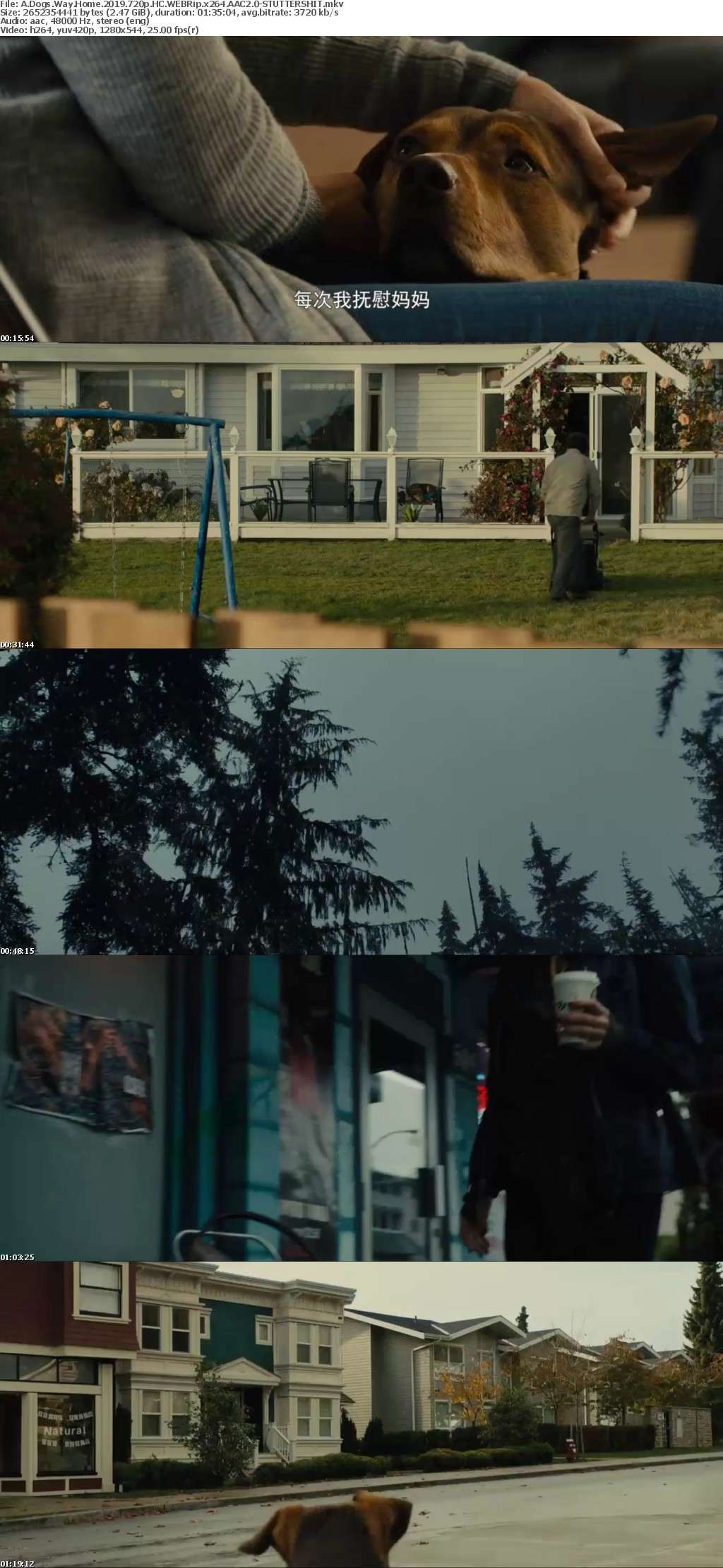 A Dogs Way Home 2019 720p HC WEBRip x264 AAC2 0-STUTTERSHIT A Dogs Way Home 2019 720p HC WEBRip x264 AAC2 0-STUTTERSHIT