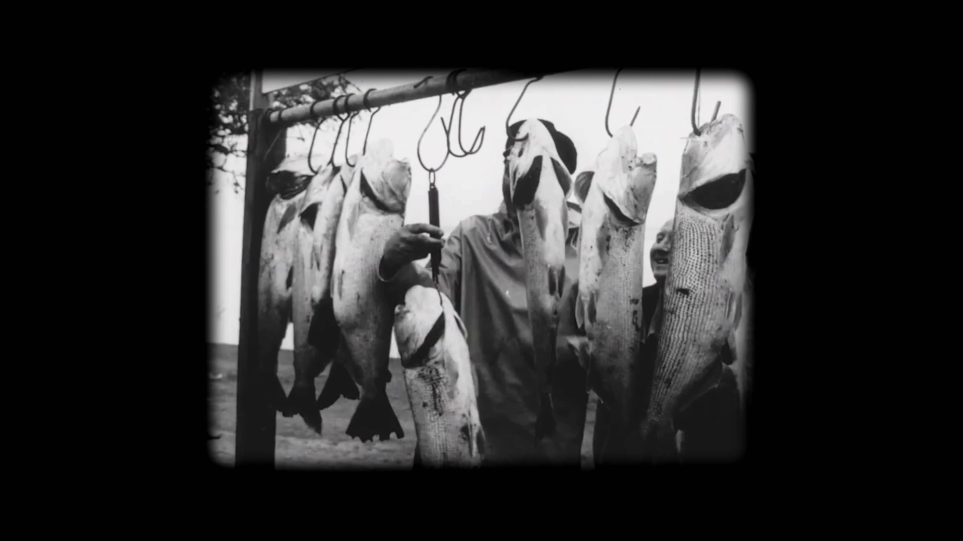 Legendary Catch S01E02 River Jaguar 1080p WEB h264-TBS Legendary Catch S01E02 River Jaguar 1080p WEB h264-TBS