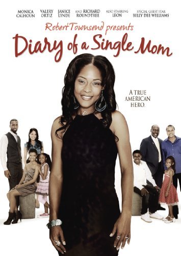 Diary of a Single Mom (2009) WEB h264-CRiMSONrarbg