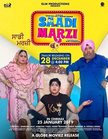 Saadi Marzi (2019) Punjabi 720p AMZN WeB DL-CineVood