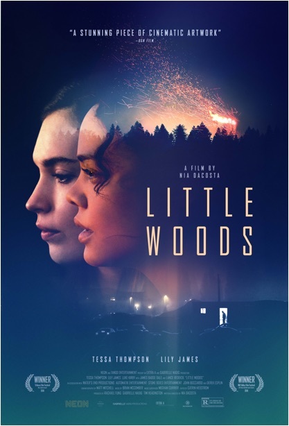 Little Woods 2018 DVDRip x264-LPD Little Woods 2018 DVDRip x264-LPD