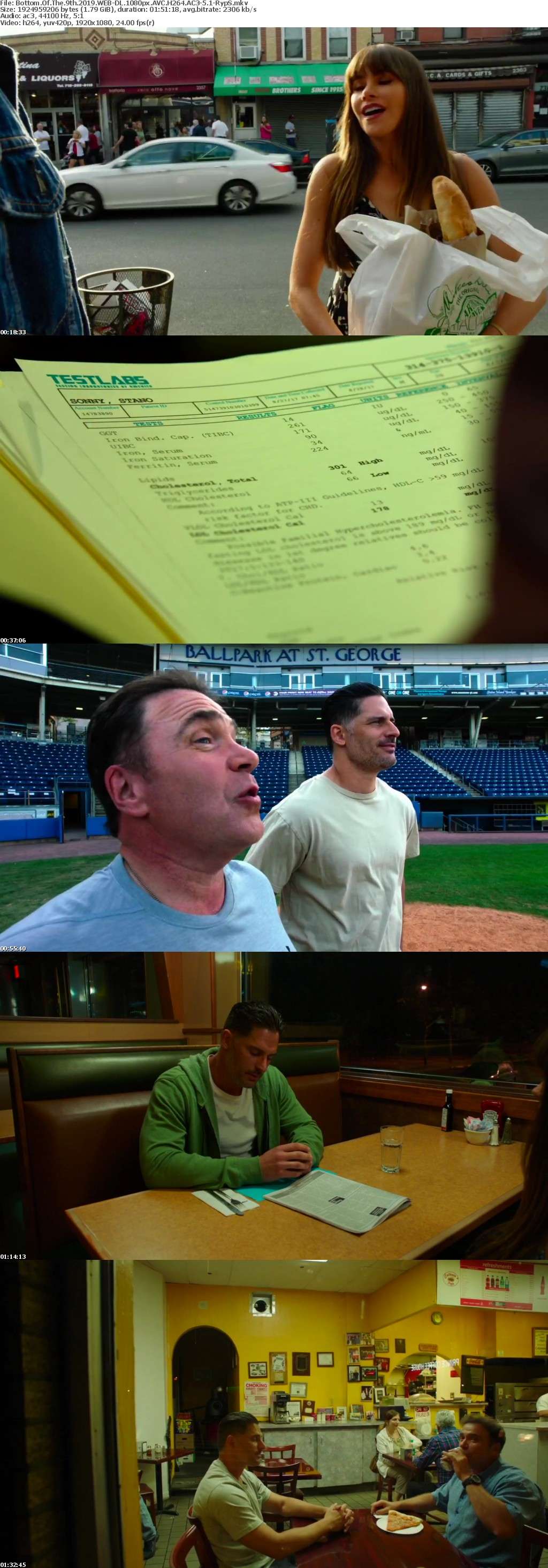 Bottom Of The 9th 2019 WEB-DL 1080px AVC H264 AC3-5 1-RypS Bottom Of The 9th 2019 WEB-DL 1080px AVC H264 AC3-5 1-RypS