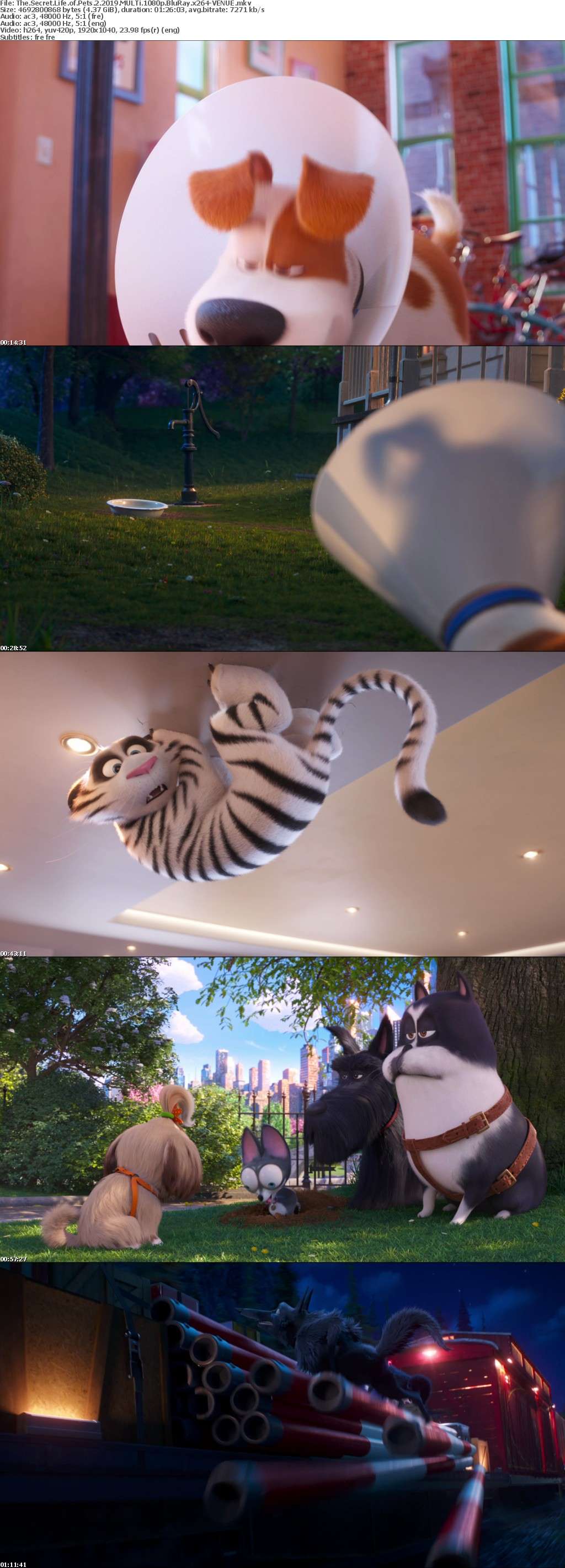 The Secret Life of Pets 2 2019 MULTi 1080p BluRay x264-VENUE The Secret Life of Pets 2 2019 MULTi 1080p BluRay x264-VENUE