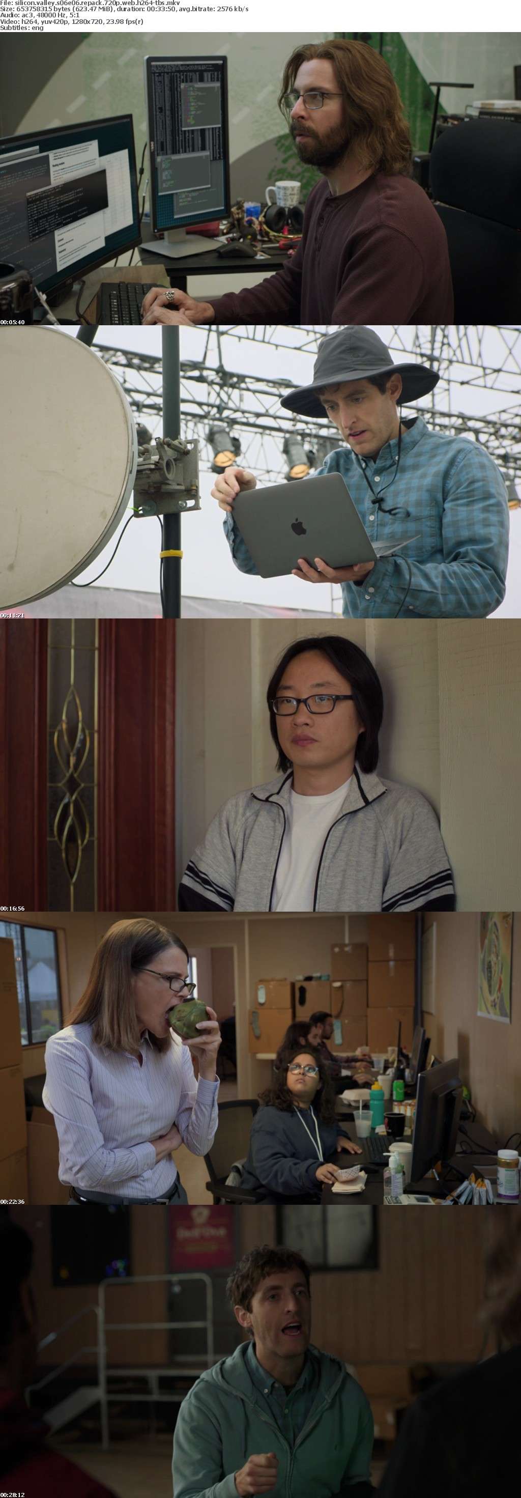 Silicon Valley S06E06 REPACK 720p WEB h264-TBS Silicon Valley S06E06 REPACK 720p WEB h264-TBS