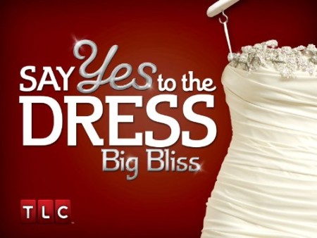 Say Yes to the Dress Big Bliss S02E01 Queen for a Day 480p x264-mSD